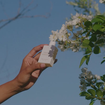 French Farmacie Elixir Exfoliant - how-to video